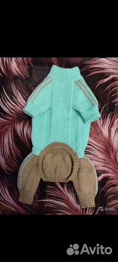 Комбинезон. Одежда для собачки