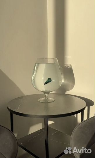 Студия красоты