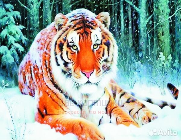 Алмазная мозаика 40x50 Тигр отдыхает на снегу