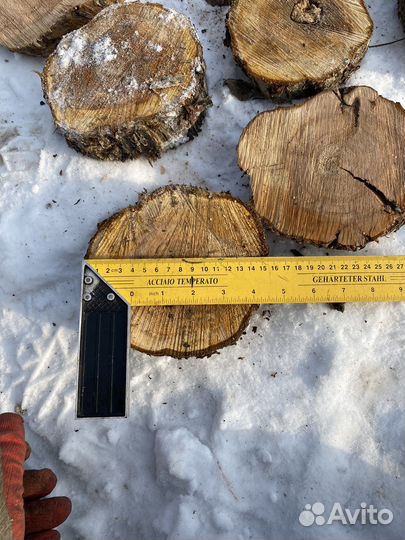 Спилы Картина на дереве