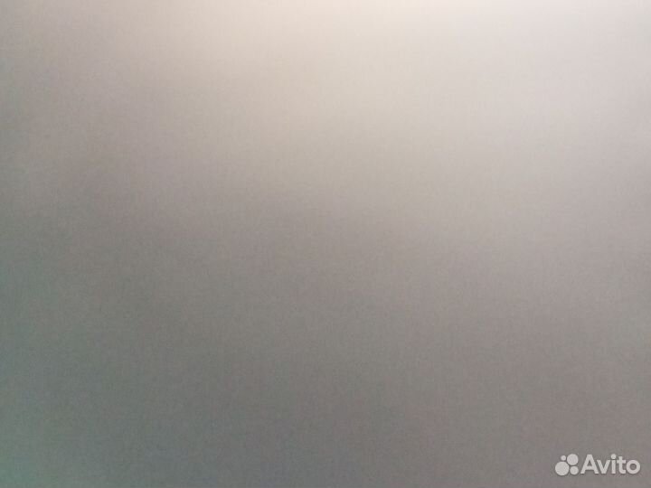 Отдам котёнка