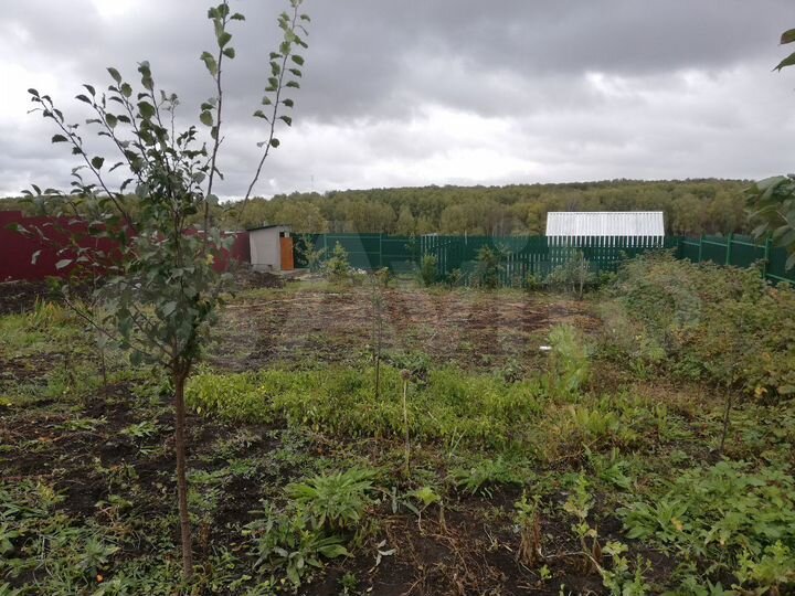 Дом 140 м² на участке 12 сот.