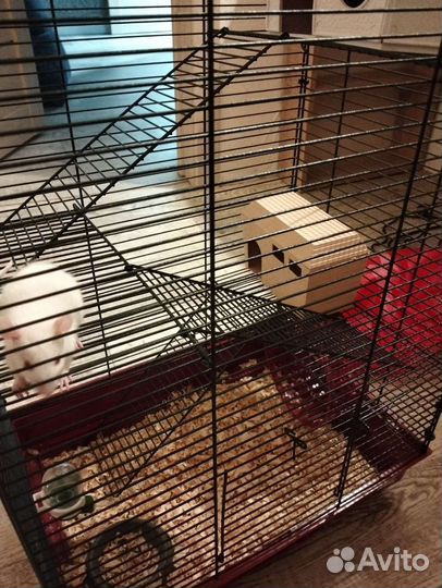 Клетка для грызунов