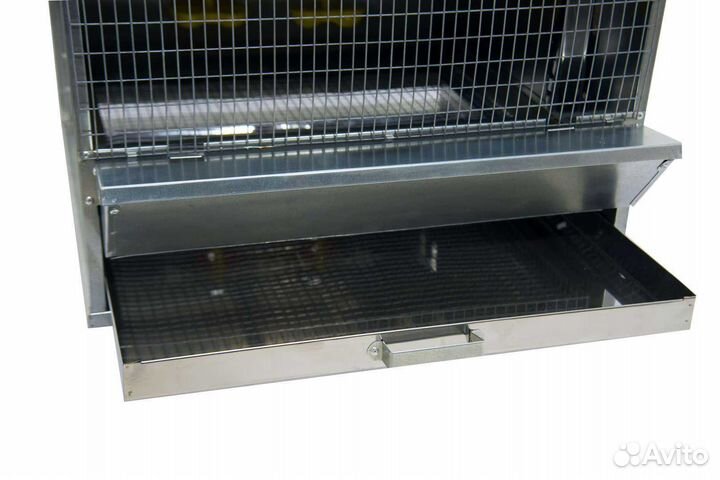 Брудер для цыплят