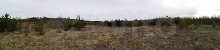 Участок 1,65 га (ИЖС)