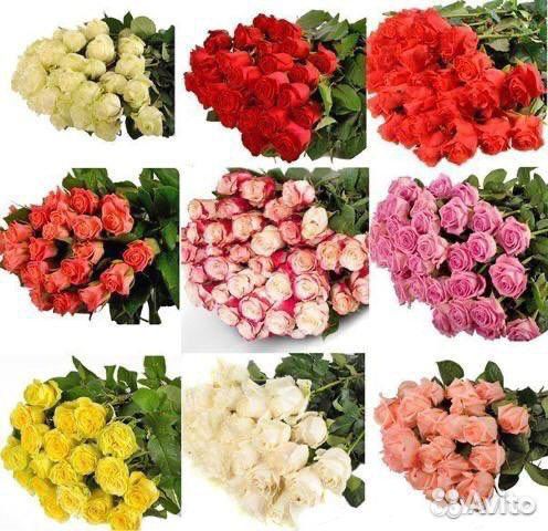 Розы оптом