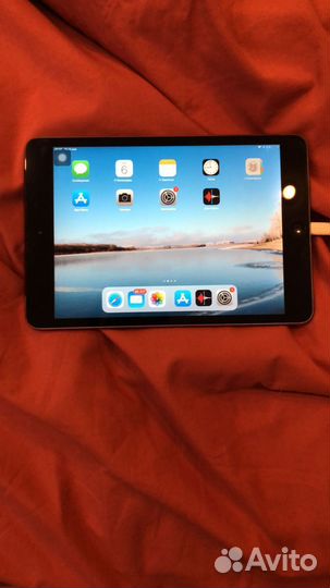 iPad mini 2