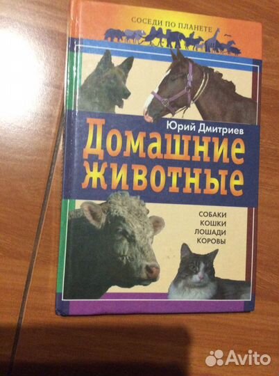 Книги кошки, домшние животные, бульдоги