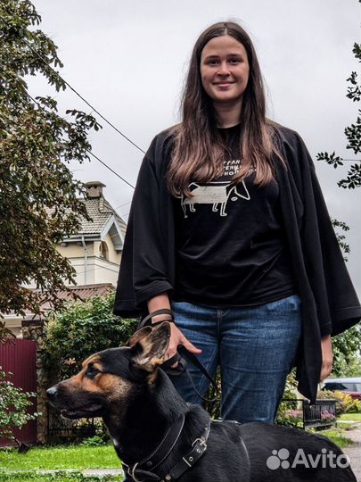 Выгул собак