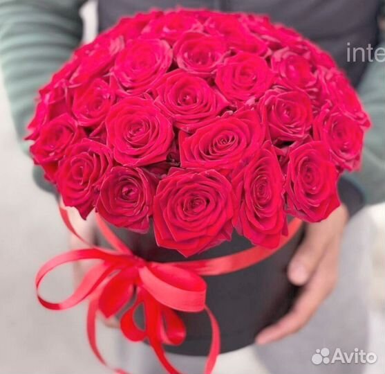 101 роза 51 роза Цветы