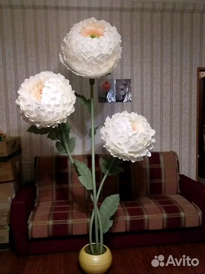 Ростовые цветы,поделки,топиарии