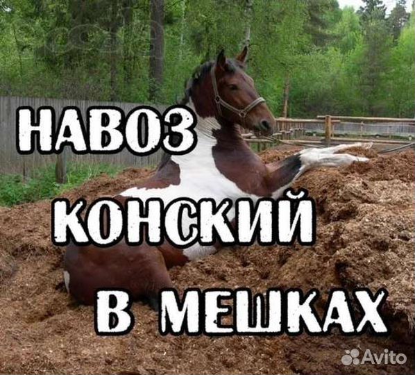 Навоз конский в мешках