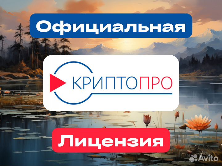 Криптопро 5.0 Официальный лицензионный ключ