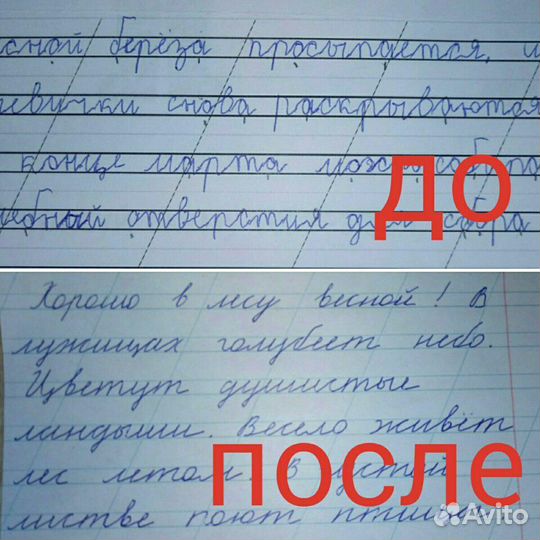 Каллиграфия (чистописание) для школьников на дому