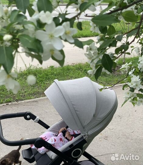 Stokke xplory v6 + оч много аксов
