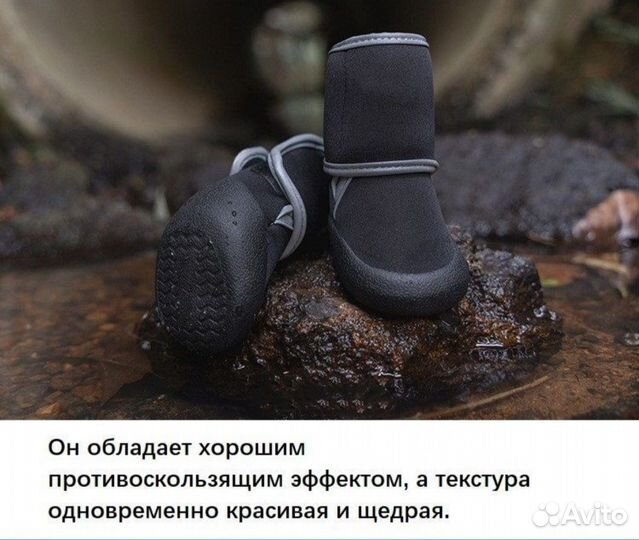 Обувь для собак
