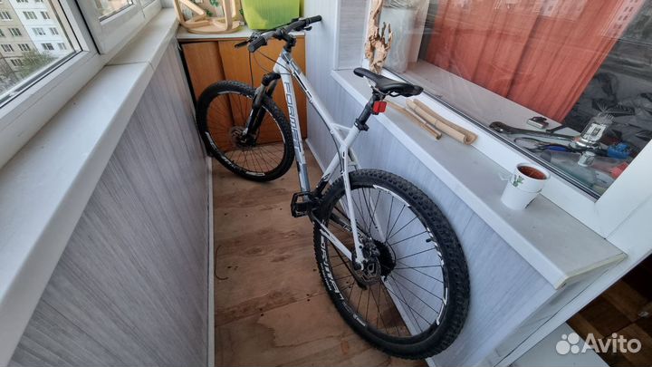 Велосипед format 1313