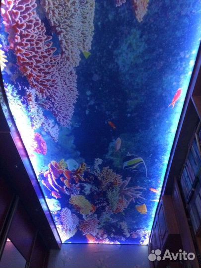 Натяжные потолки