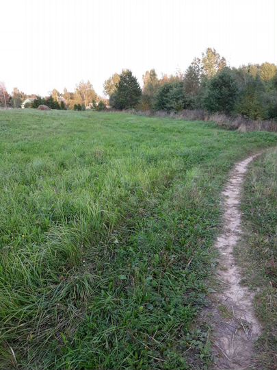 Участок 15 сот. (ИЖС)