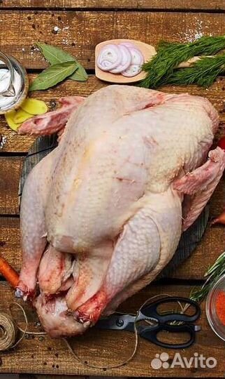 Мясо домашней индейки
