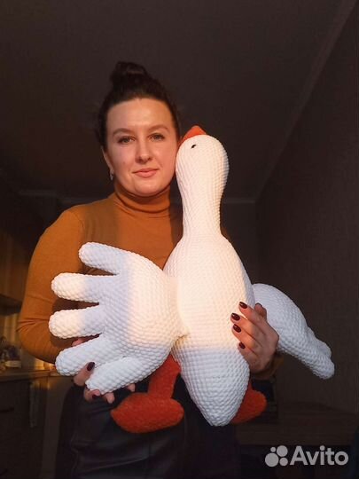 Гусь обнимусь