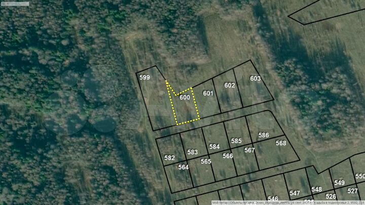 Участок 22,7 сот. (СНТ, ДНП)