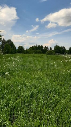 Участок 2 га (ИЖС)