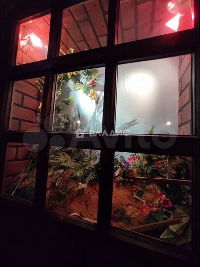 Сдам помещение свободного назначения, 150 м²