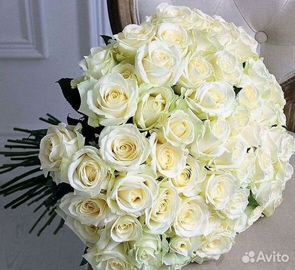 Высокие розы Гигантские розы с доставкой