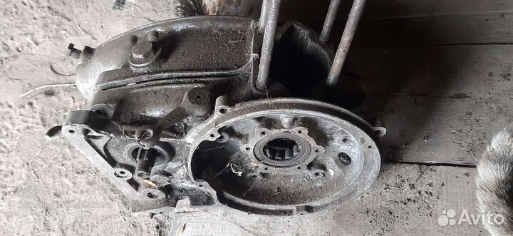 Картер на муравей