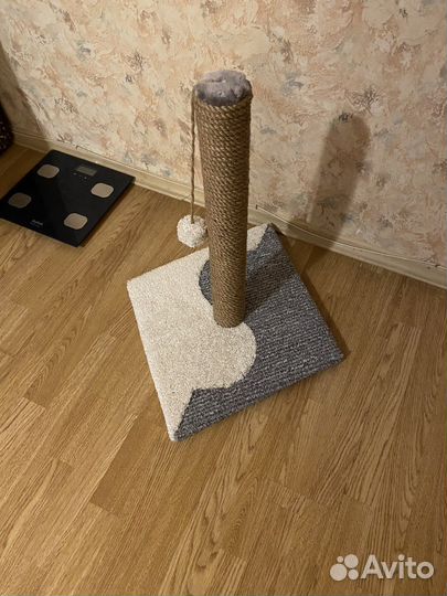 Когтеточка