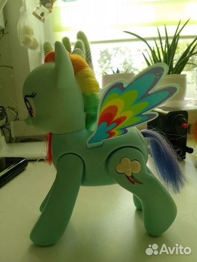 My little pony радуга дэш, интерактивная