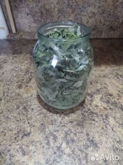 Мята сушеная