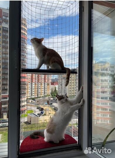 Балкончик для кошки
