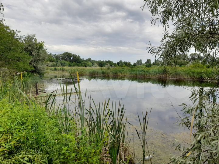 Дом 90 м² на участке 12 сот.