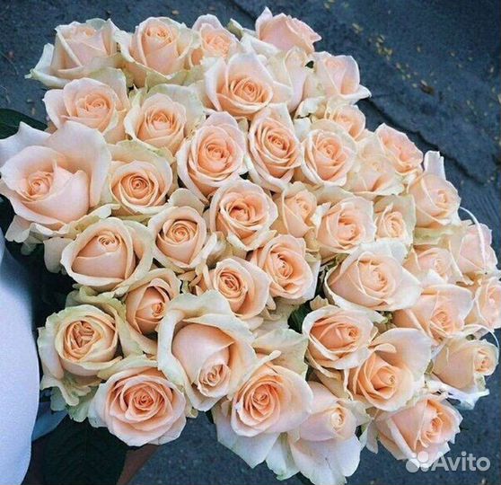 Розы букет Доставка