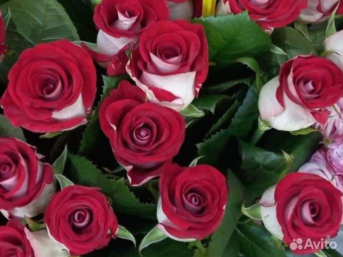 Цветы Красивые розы в любом количестве Пермь