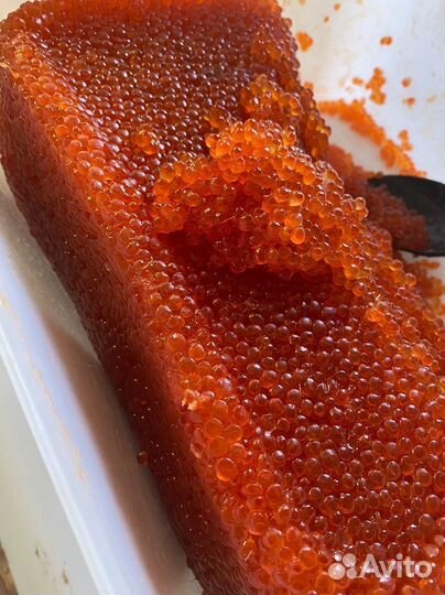 Красная икра