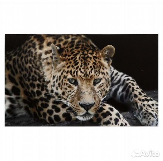 Большая картина «Тигр»