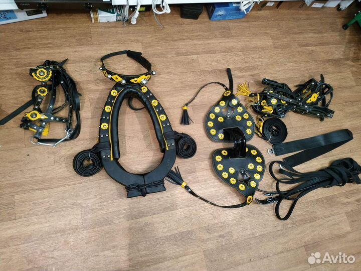 Сбруя для лошади (цветная)