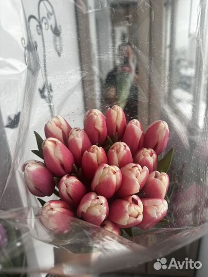 Тюльпаны 15шт последний букет