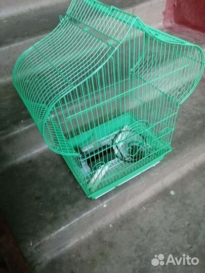 Клетка для волнистого попугая