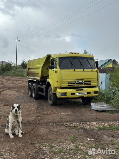 Самосвал камаз 55111
