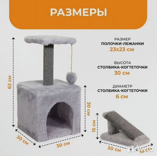 Шотландская прямоухая девочка со своим приданным