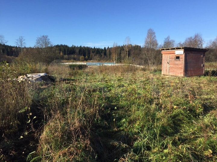 Участок 10 сот. (СНТ, ДНП)