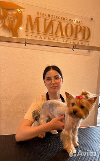 Грумер Груминг Стрижка собак