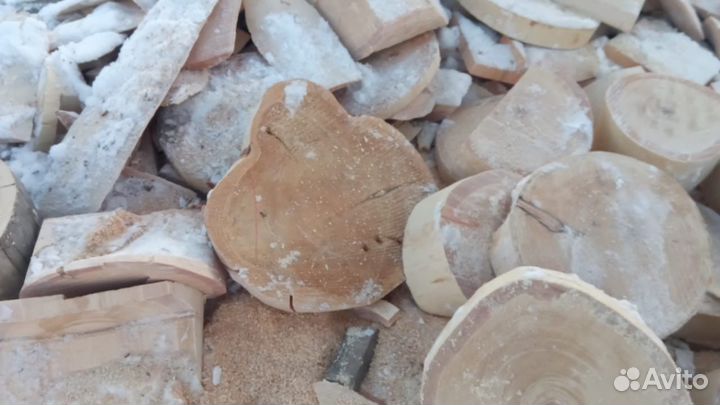 Спилы кедровые