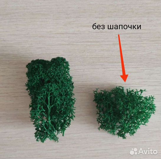 Стабилизированный мох