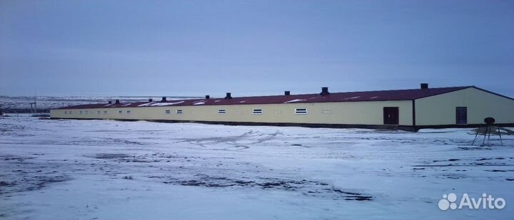 Строительство животноводческой фермы