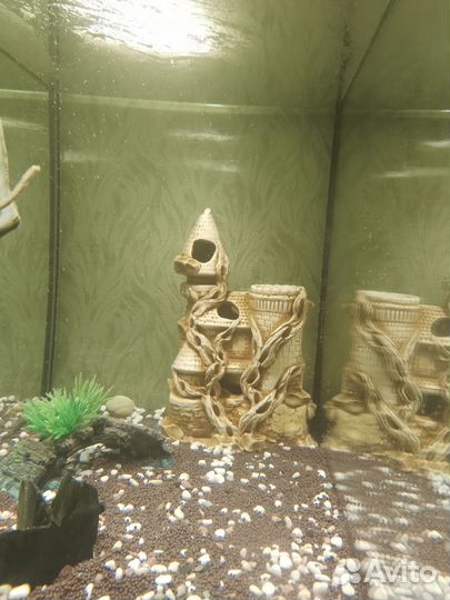 Продам аквариумы. 100 л. и 40 л